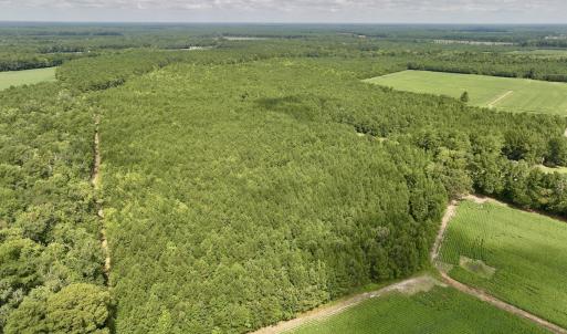 Photo #28 of 1596 Middle Swamp Rd, Corapeak, NC 149.9 acres