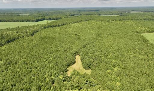 Photo #29 of 1596 Middle Swamp Rd, Corapeak, NC 149.9 acres