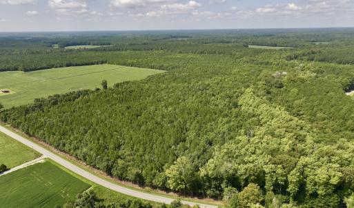 Photo #3 of 1596 Middle Swamp Rd, Corapeak, NC 149.9 acres