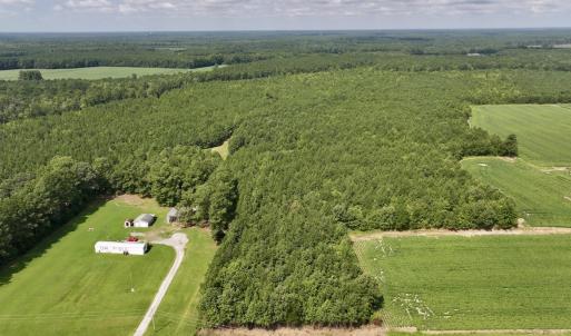 Photo #30 of 1596 Middle Swamp Rd, Corapeak, NC 149.9 acres