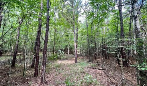 Photo #32 of 1596 Middle Swamp Rd, Corapeak, NC 149.9 acres