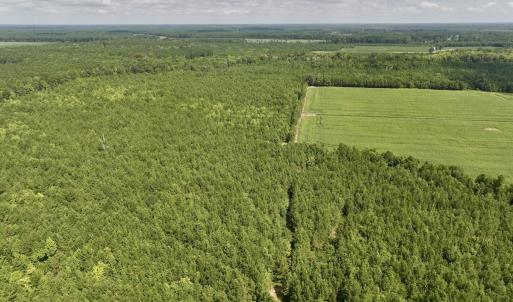 Photo #35 of 1596 Middle Swamp Rd, Corapeak, NC 149.9 acres