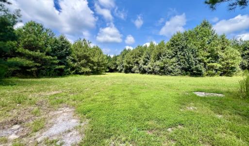 Photo #37 of 1596 Middle Swamp Rd, Corapeak, NC 149.9 acres