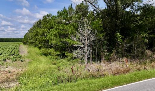 Photo #39 of 1596 Middle Swamp Rd, Corapeak, NC 149.9 acres