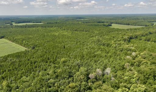 Photo #4 of 1596 Middle Swamp Rd, Corapeak, NC 149.9 acres