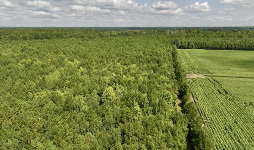 Photo #40 of 1596 Middle Swamp Rd, Corapeak, NC 149.9 acres