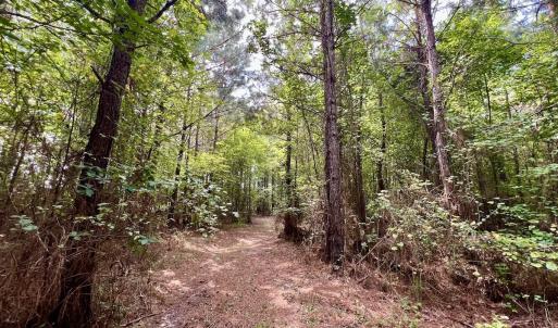 Photo #7 of 1596 Middle Swamp Rd, Corapeak, NC 149.9 acres