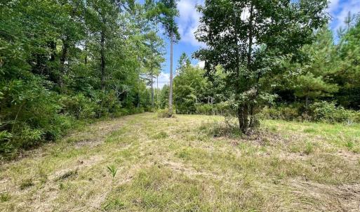 Photo #9 of 1596 Middle Swamp Rd, Corapeak, NC 149.9 acres