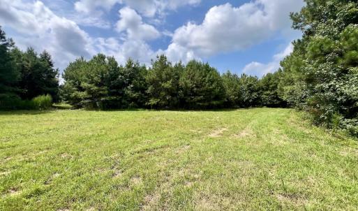 Photo #43 of 1596 Middle Swamp Rd, Corapeak, NC 149.9 acres