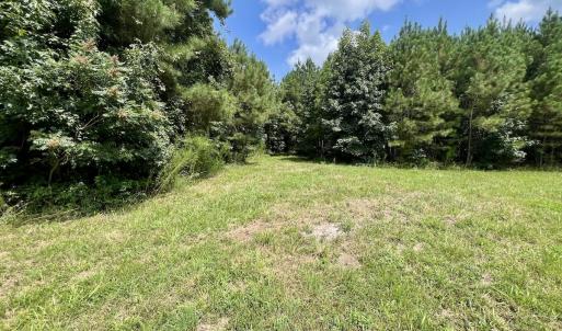Photo #44 of 1596 Middle Swamp Rd, Corapeak, NC 149.9 acres