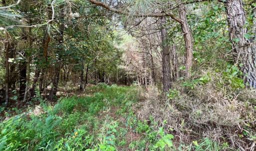 Photo #45 of 1596 Middle Swamp Rd, Corapeak, NC 149.9 acres