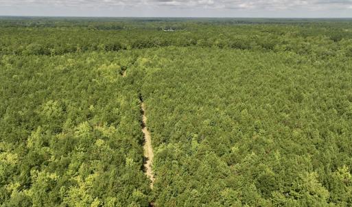 Photo #46 of 1596 Middle Swamp Rd, Corapeak, NC 149.9 acres