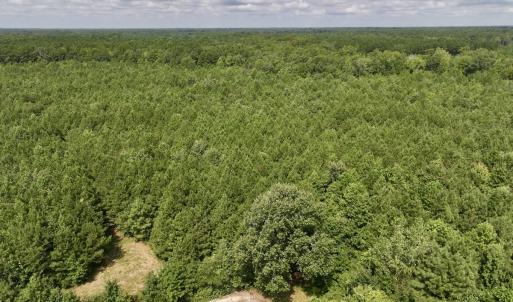 Photo #48 of 1596 Middle Swamp Rd, Corapeak, NC 149.9 acres