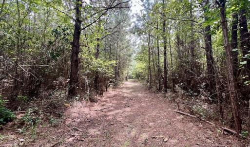 Photo #51 of 1596 Middle Swamp Rd, Corapeak, NC 149.9 acres