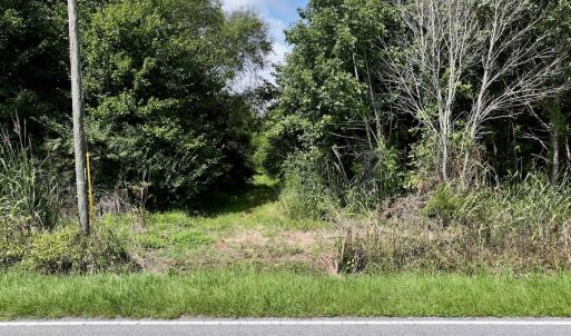 Photo #55 of 1596 Middle Swamp Rd, Corapeak, NC 149.9 acres