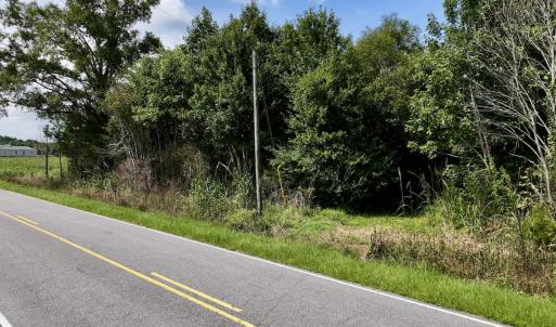 Photo #57 of 1596 Middle Swamp Rd, Corapeak, NC 149.9 acres