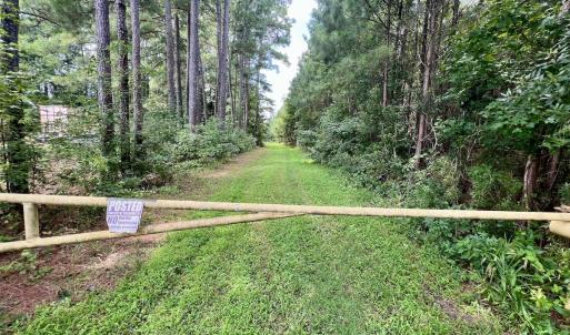 Photo #60 of 1596 Middle Swamp Rd, Corapeak, NC 149.9 acres