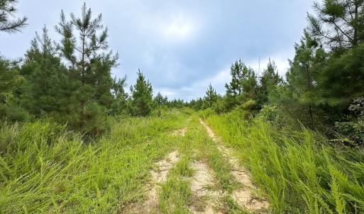 Photo #4 of 93 AC Zero Rd, warfield, VA 93.0 acres