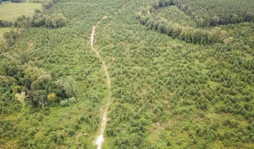 Photo #5 of 93 AC Zero Rd, warfield, VA 93.0 acres