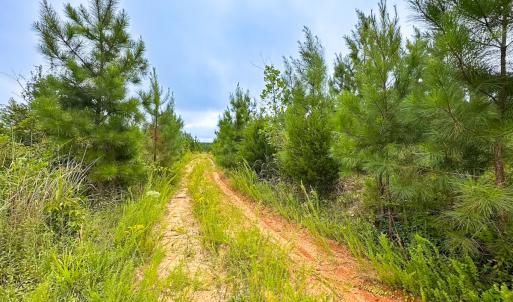 Photo #6 of 93 AC Zero Rd, warfield, VA 93.0 acres