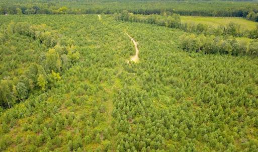 Photo #9 of 93 AC Zero Rd, warfield, VA 93.0 acres