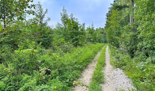 Photo #10 of 93 AC Zero Rd, warfield, VA 93.0 acres
