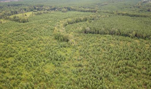 Photo #13 of 93 AC Zero Rd, warfield, VA 93.0 acres