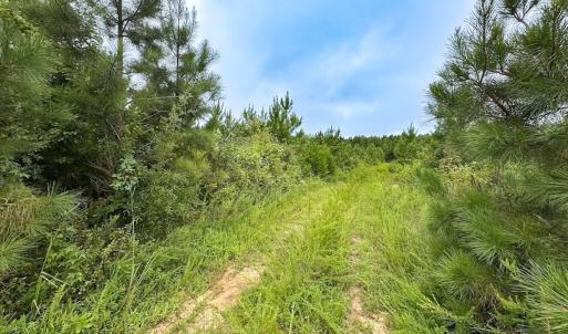 Photo #15 of 93 AC Zero Rd, warfield, VA 93.0 acres