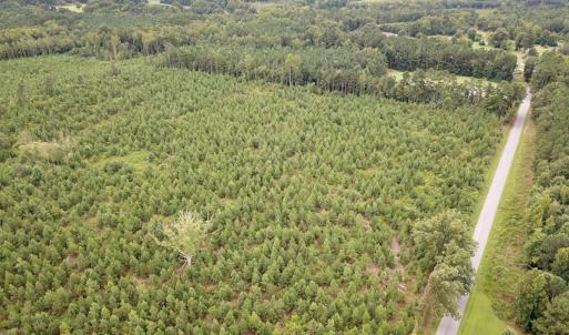 Photo #17 of 93 AC Zero Rd, warfield, VA 93.0 acres