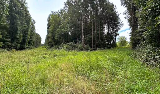 Photo #23 of 93 AC Zero Rd, warfield, VA 93.0 acres