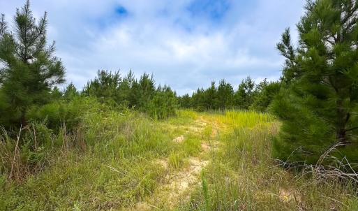 Photo #25 of 93 AC Zero Rd, warfield, VA 93.0 acres