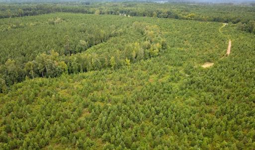 Photo #26 of 93 AC Zero Rd, warfield, VA 93.0 acres