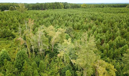 Photo #27 of 93 AC Zero Rd, warfield, VA 93.0 acres