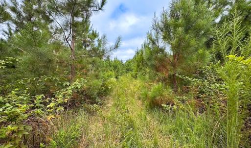 Photo #28 of 93 AC Zero Rd, warfield, VA 93.0 acres