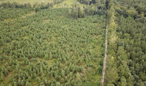 Photo #30 of 93 AC Zero Rd, warfield, VA 93.0 acres