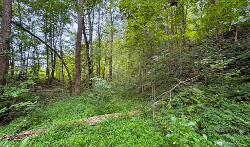 Photo #31 of 93 AC Zero Rd, warfield, VA 93.0 acres