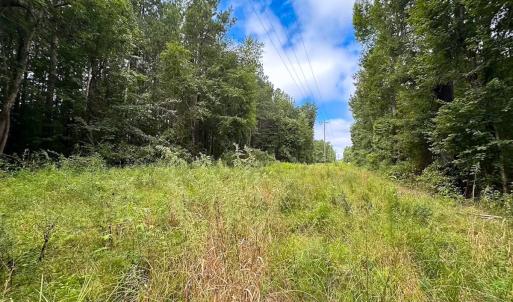 Photo #32 of 93 AC Zero Rd, warfield, VA 93.0 acres