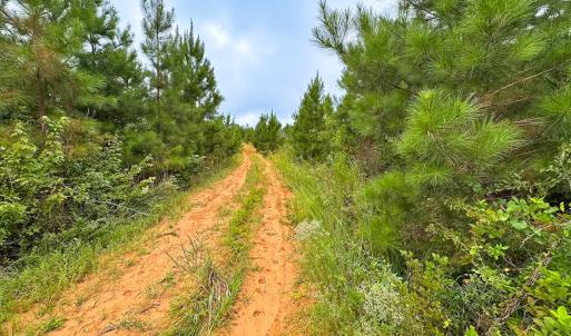 Photo #33 of 93 AC Zero Rd, warfield, VA 93.0 acres