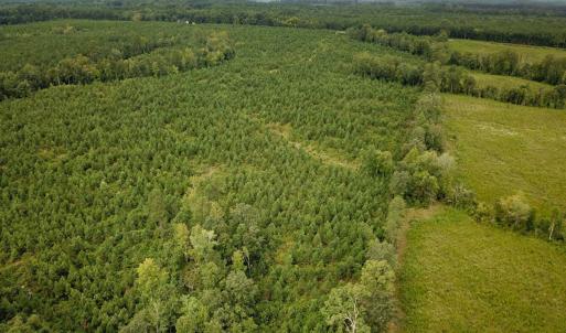 Photo #34 of 93 AC Zero Rd, warfield, VA 93.0 acres