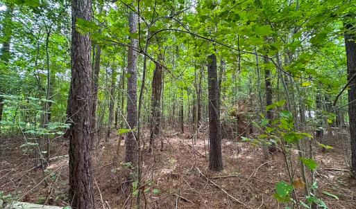 Photo #36 of 93 AC Zero Rd, warfield, VA 93.0 acres