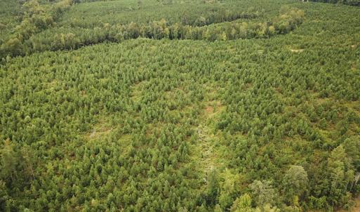 Photo #37 of 93 AC Zero Rd, warfield, VA 93.0 acres