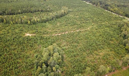 Photo #40 of 93 AC Zero Rd, warfield, VA 93.0 acres