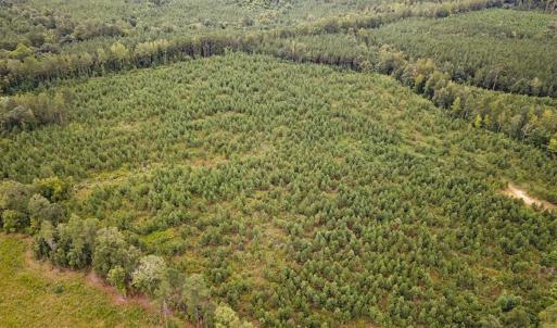 Photo #42 of 93 AC Zero Rd, warfield, VA 93.0 acres