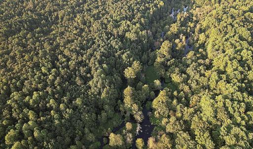 Photo #9 of Off Hwy 903, Albertson, NC 24.2 acres