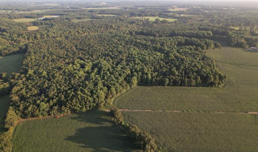 Photo #4 of Off Hwy 903, Albertson, NC 24.2 acres