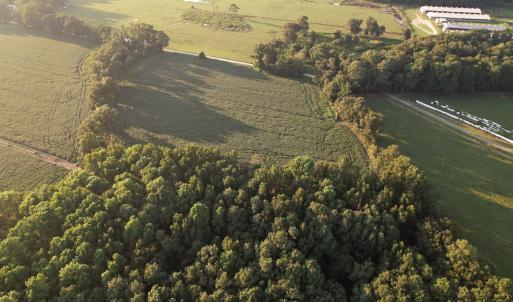 Photo #6 of Off Hwy 903, Albertson, NC 24.2 acres