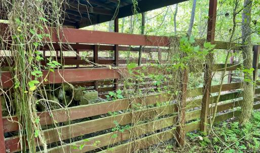 Photo #10 of 624 Dismal Road, Hallsboro, NC 32.2 acres