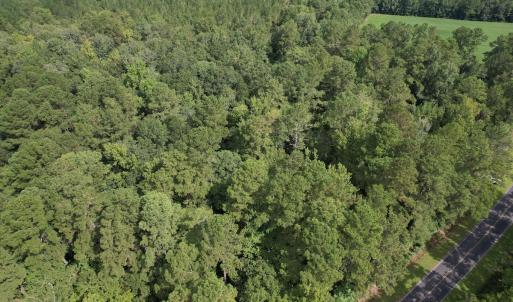 Photo #13 of 624 Dismal Road, Hallsboro, NC 32.2 acres