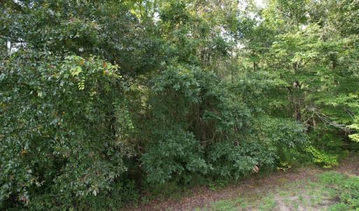 Photo #14 of 624 Dismal Road, Hallsboro, NC 32.2 acres