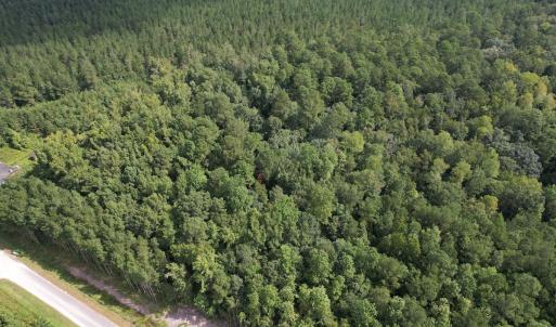 Photo #2 of 624 Dismal Road, Hallsboro, NC 32.2 acres